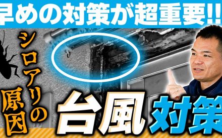 【動画で見る】早めの対策が超重要！台風対策🌀
